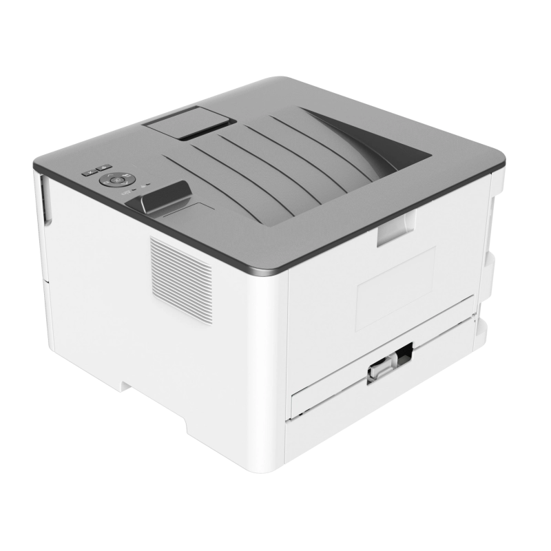 P3010DW-4